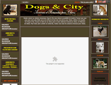 Tablet Screenshot of dogsandcity.com